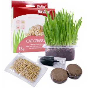 Hạt giống trồng cỏ tươi cho mèo BIOLINE Cat Grass Kit