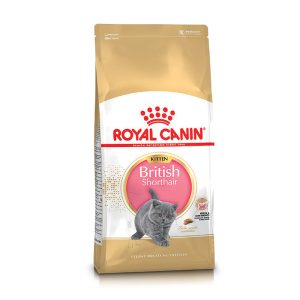 Thức ăn cho mèo Anh lông ngắn con ROYAL CANIN British Shorthair Kitten