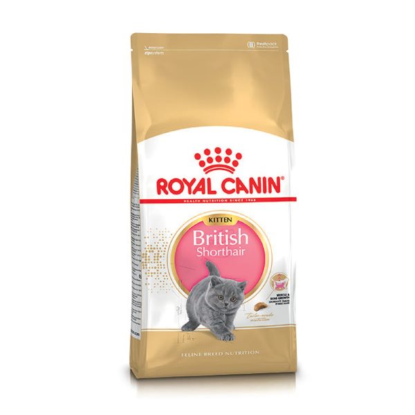 Thức ăn cho mèo Anh lông ngắn con ROYAL CANIN British Shorthair Kitten